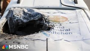 Video post by @msnbc on YouTube
