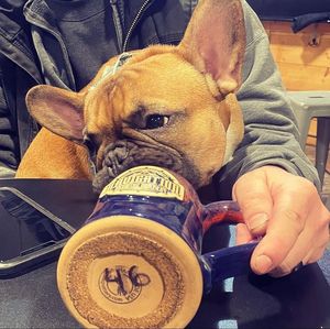 Image post by @navigationbrewingco on Instagram
