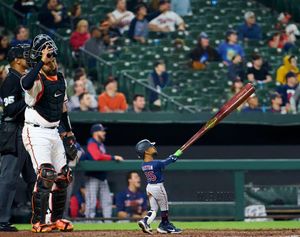 Image post by @mlb.mini on Instagram