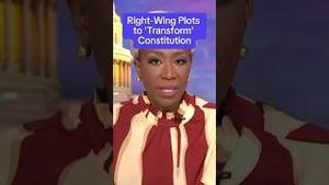 Video post by @msnbc on YouTube