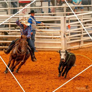 Image post by @arcadiarodeo on Instagram