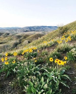 Image post by @boise_bucketlist on Instagram