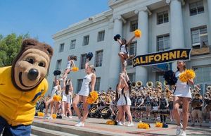 Image post by @dailycal on Instagram