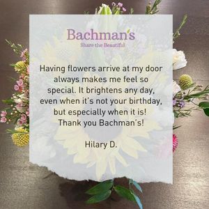 Image post by @shopbachmans on Instagram