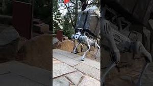 Video post by @southchinamorningpost on YouTube