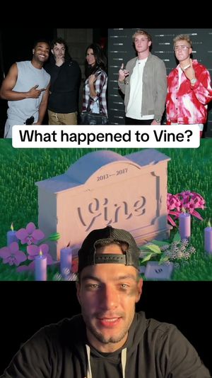Video post by @mobibojoe on TikTok