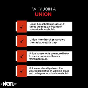 Image post by @iubac on Instagram