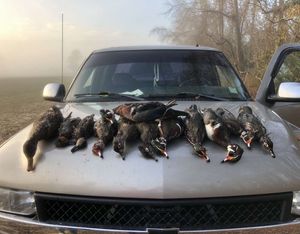 Image post by @leo_outdoors on Instagram