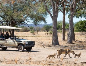 Image post by @chiawasafaris on Instagram