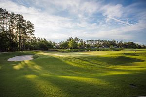 Image post by @wilsongolf on Instagram