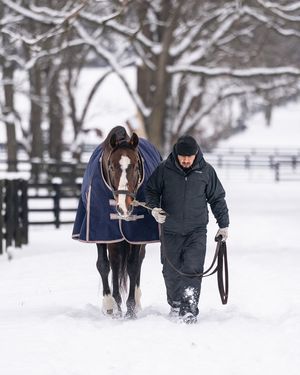 Image post by @spendthriftfarm on Instagram