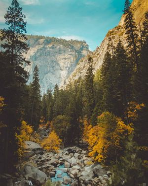 Image post by @connor.young_ on Instagram