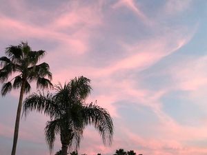 Image post by @photosbyadele_ on Instagram