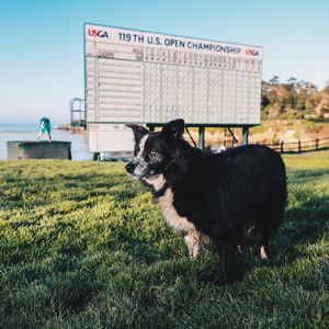 Image post by @pebblebeachresorts on Instagram