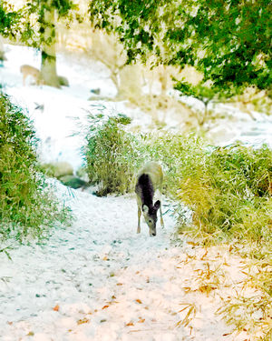 Image post by @fairfieldu on Instagram