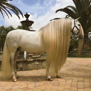 Image post by @equineidsolutions on Instagram