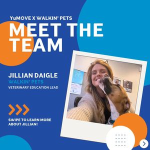 Image post by @walkinpets on Instagram