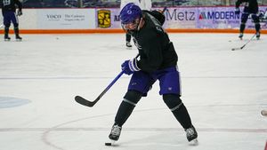 Image post by @NiagaraMHKY on Twitter/X