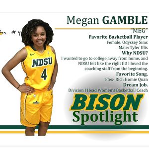 Image post by @ndsuwbb on Instagram