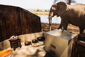 Image post by @chiawasafaris on Instagram