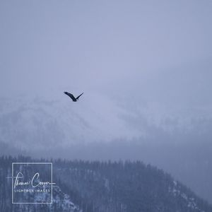 Image post by @lightboximages on Instagram
