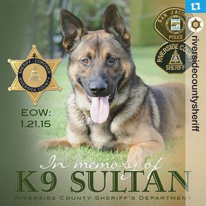 Image post by @vcsheriff on Instagram