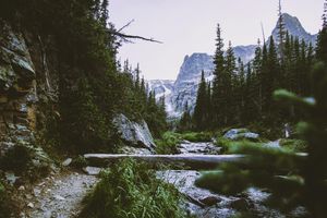 Image post by @jsawcreative on Instagram