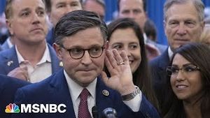 Video post by @msnbc on YouTube