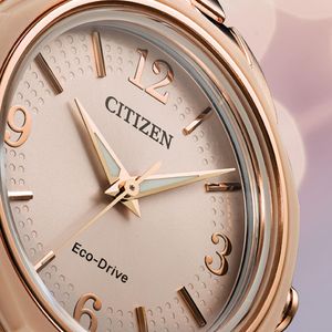 Image post by @citizenwatchus on Instagram