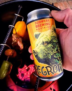 Image post by @sudwerkbrew on Instagram