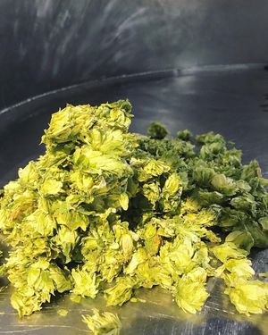 Image post by @sudwerkbrew on Instagram