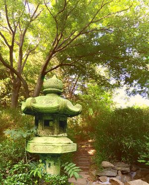 Image post by @fairfieldu on Instagram