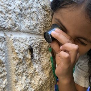 Image post by @kidsgardening on Instagram