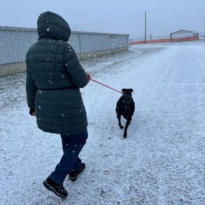 Image post by @spokhumanesoc on Instagram