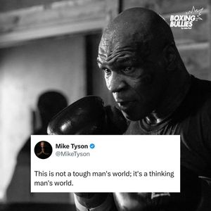 Image post by @boxingbullies on Instagram