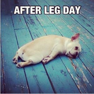 Image post by @orangetheory on Instagram