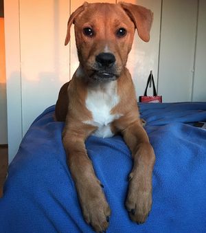Image post by @aliontherun1 on Instagram