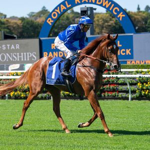 Image post by @australianturfclub on Instagram