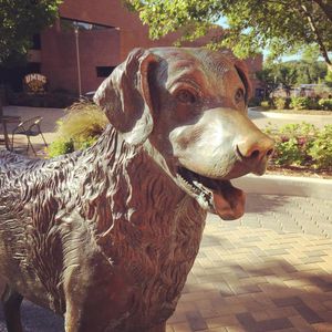 Image post by @umbclife on Instagram