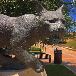 Image post by @txst on Instagram