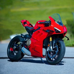 Image post by @panigalers on Instagram