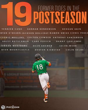 Image post by @norfolktides on Instagram