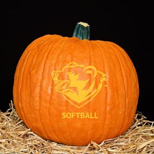 Image post by @washusoftball on Instagram