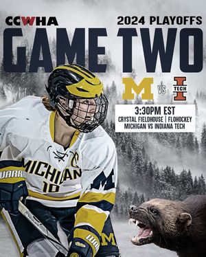 Image post by @umichwhockey on Instagram