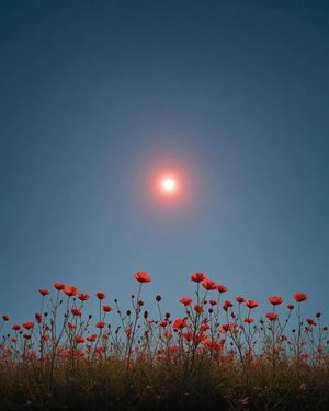 Image post by @fubiz on Instagram