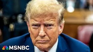 Video post by @msnbc on YouTube