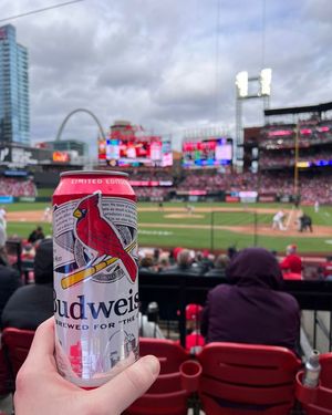 Image post by @HomeOfBud on Facebook