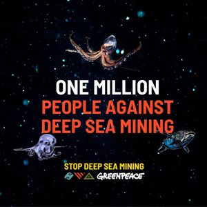 Image post by @greenpeace on Instagram