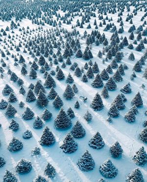 Image post by @dronepals on Instagram
