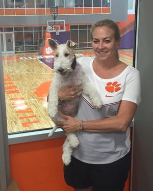 Image post by @clemsonwbb on Instagram